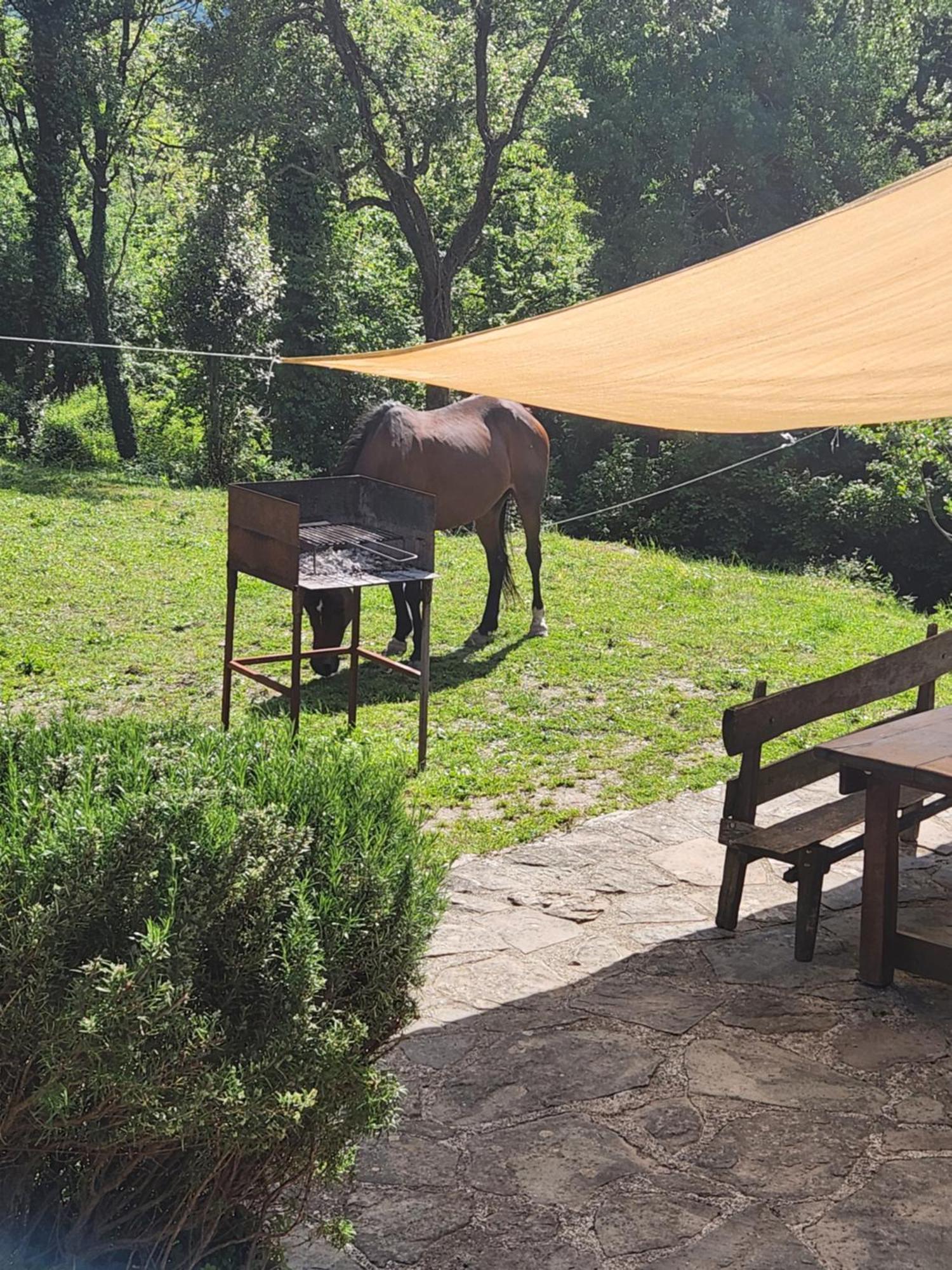 Vila Contea Del Piano Piteglio Exteriér fotografie